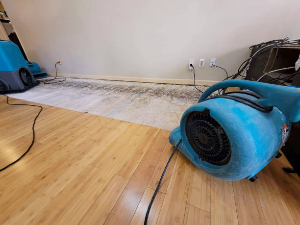 Professional Basement Flood Cleanup technician working in Stanfield, OR